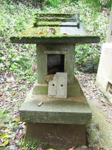 お日様が足元を照らしてくれました！　三嶋神社にて。。。