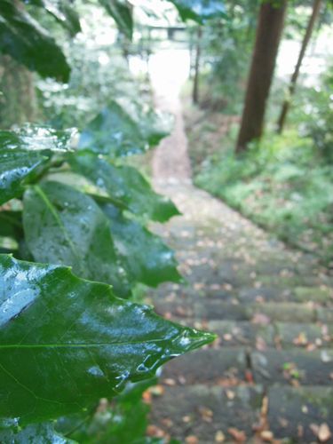 お日様が足元を照らしてくれました！　三嶋神社にて。。。