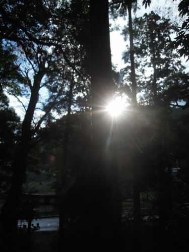 お日様が足元を照らしてくれました！　三嶋神社にて。。。