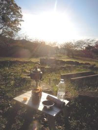 これからは、上を見ないで下を見て楽しむ時間が増えそうですな。。。。 2021/12/05 10:45:55