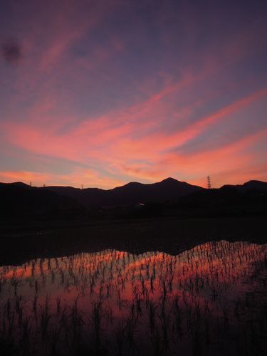 朝、赤く染まる空を眺めたくてつい早く家を出て