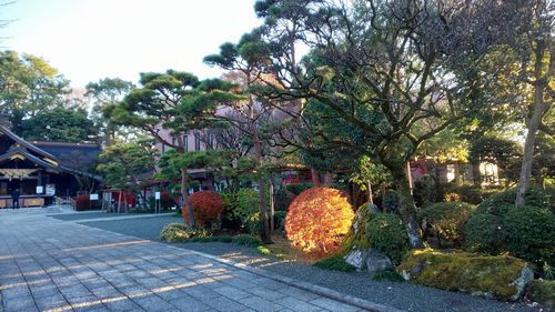 朝の出雲大社　相模分祠　にて。。。