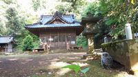 昨日は、フクロウに遭遇した朝でした。 2021/05/05 04:40:36