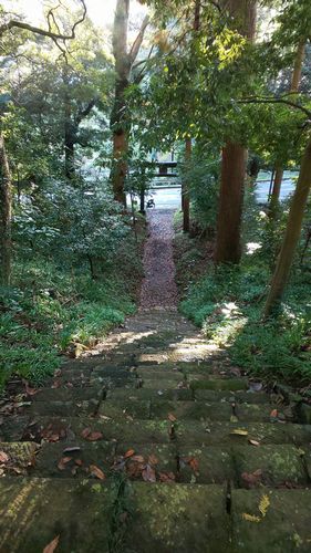 ちょっと長めの階段、いい運動になります！。。。三嶋神社(大井町)