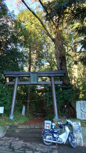 ちょっと長めの階段、いい運動になります！。。。三嶋神社(大井町)