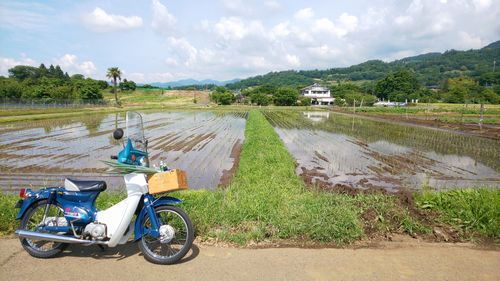 原付一種（50ｃｃ）なので、公道ではトコトコ、トコトコと時速３０Kmで走ります