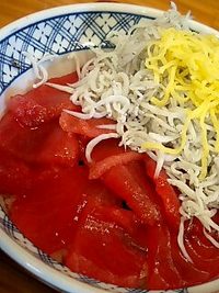 江ノ島にてしらす丼を食らう