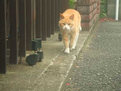 ん、そうしよぅ～
