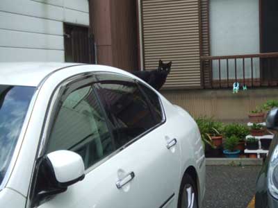 なんとなく　覗いてみると