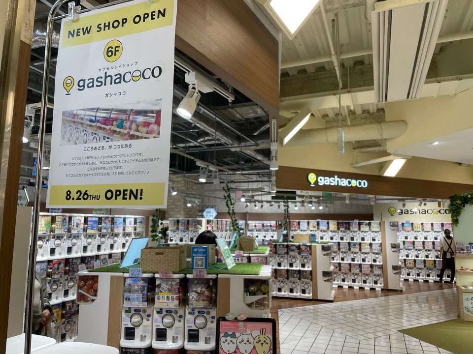 横須賀市 カプセルトイ専門ショップ ガシャココ が横須賀モアーズシティにオープン 濱街公式 横須賀エリア 情報