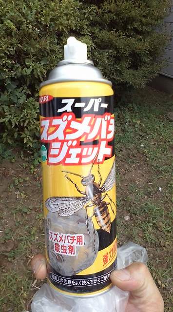 スズメバチ！