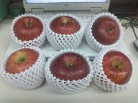久しぶりすぎの・・