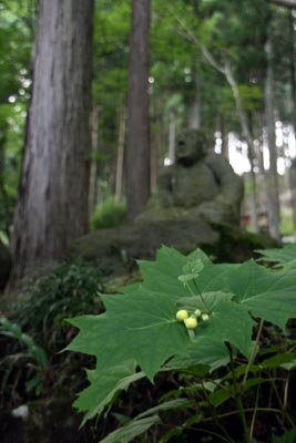 東国花の寺・五百羅漢の長安寺