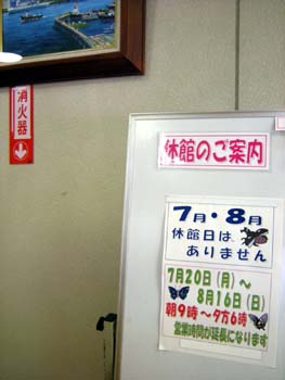スイミングプール♪